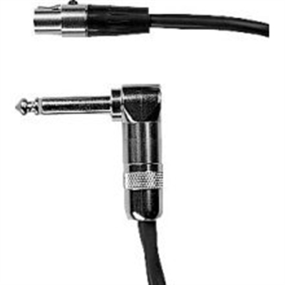 Shure-WA304.jpg